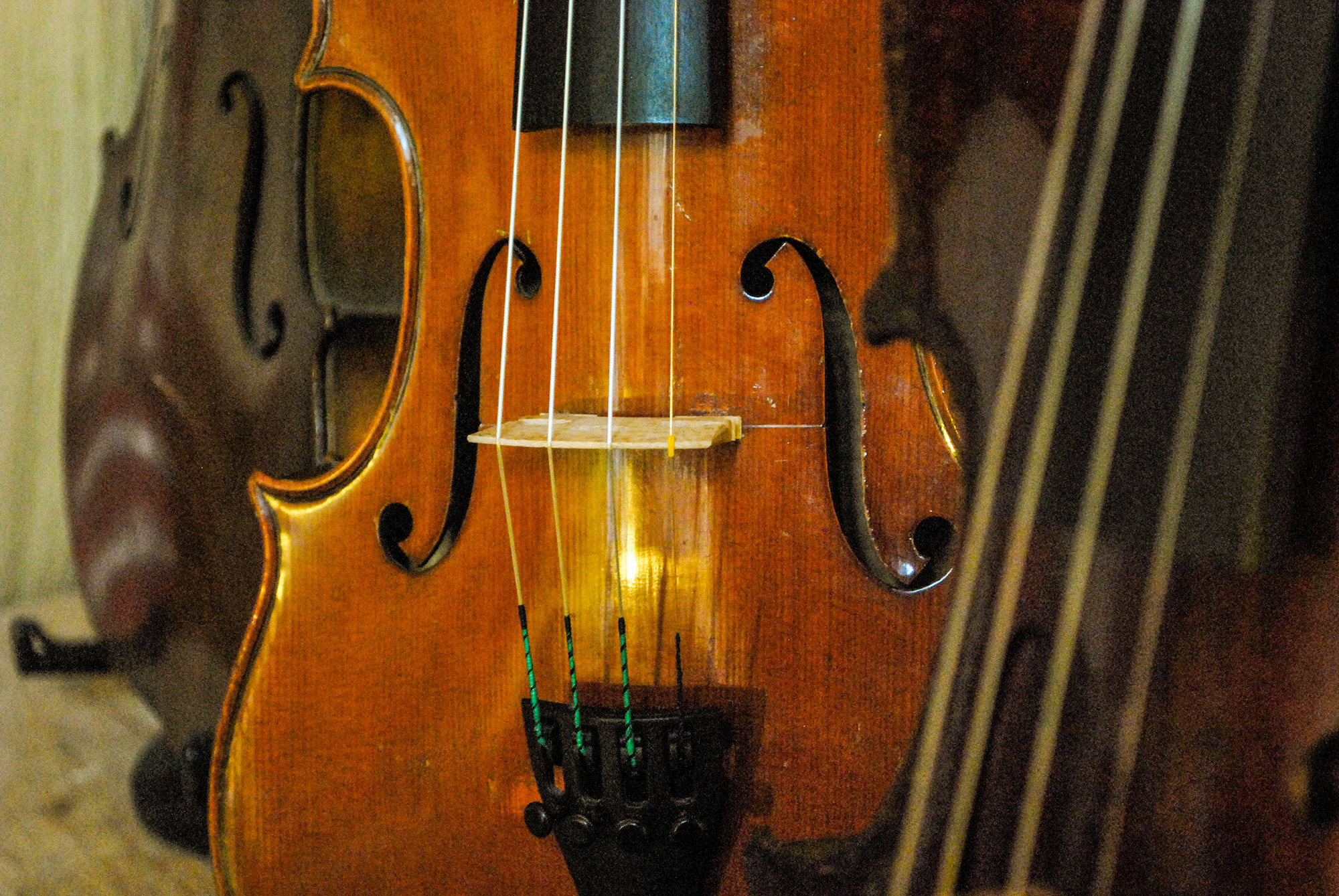 gros plan d'un violon
